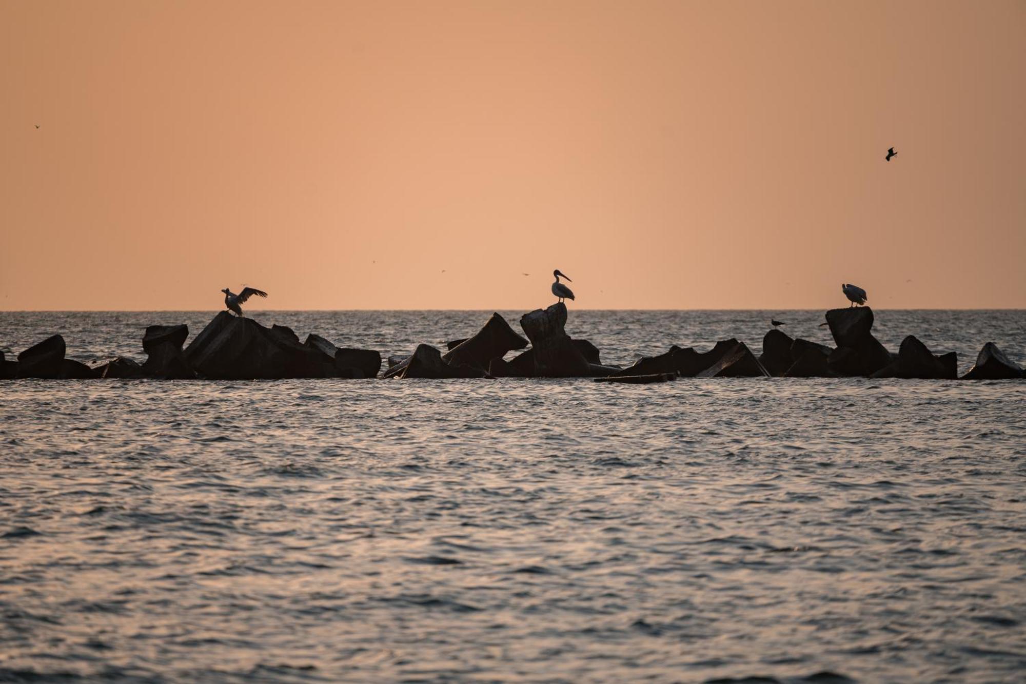 Riva Mamaia Beach Aparthotel エクステリア 写真
