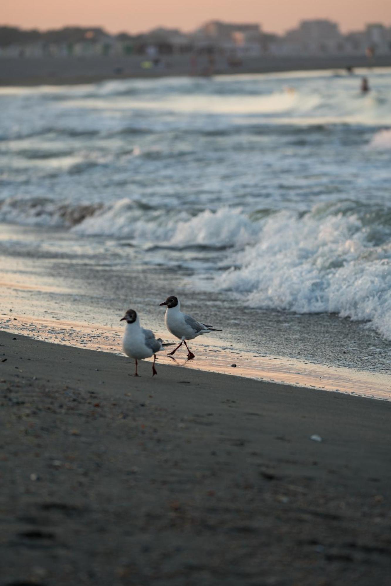 Riva Mamaia Beach Aparthotel エクステリア 写真