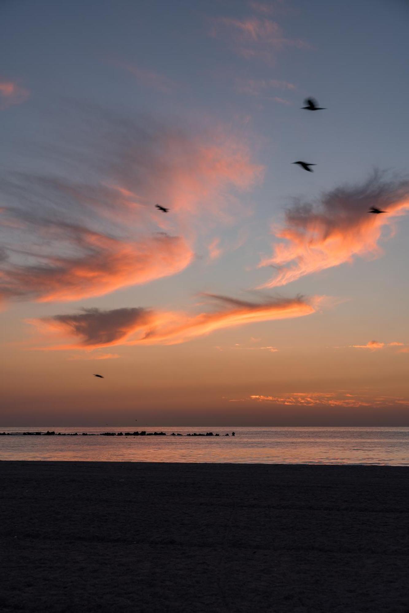 Riva Mamaia Beach Aparthotel エクステリア 写真